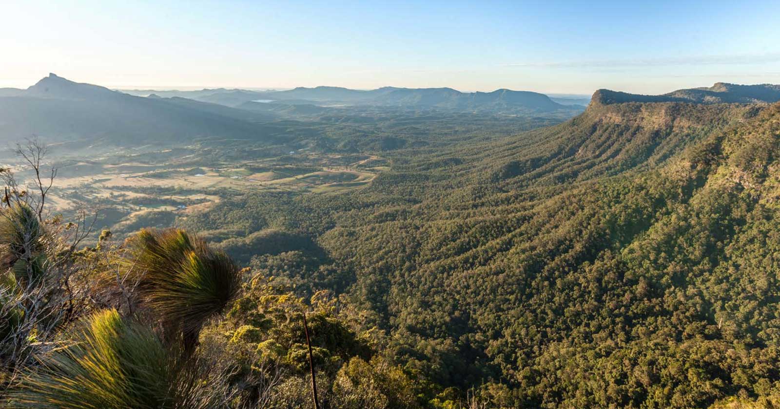 Gondwana rainforest Northern NSW