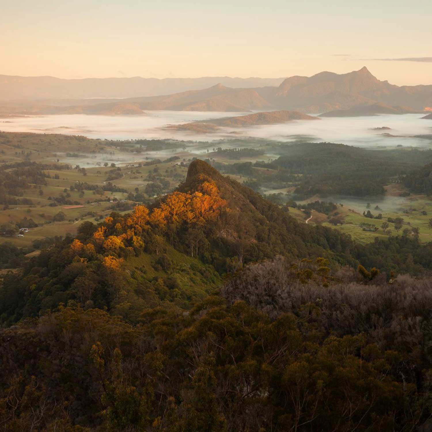 Mt Wollumbin and Tweed Caldera at sunrise, Northern Rivers NSW